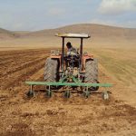 کشت پاییزه گندم در مسجدسلیمان آغاز شد