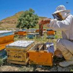 ۴۷میلیارد ریال تسهیلات اشتغالزایی در مسجدسلیمان پرداخت شد