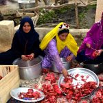 نخستین جشنواره انار ایذه برگزار شد