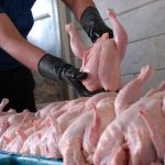 قیمت مصوب مرغ در خوزستان اعلام شد/ هر کیلوگرم ۱۱ هزار و ۹۰۰ تومان