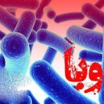 مراقب وبا باشیم