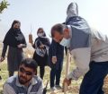 در اولین روز از هفته منابع طبیعی؛ کاشت ۴۰۰ اصله درخت کنار توسط پرسنل کارخانه سیمان مسجدسلیمان